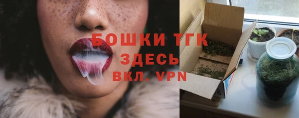 первитин Анива