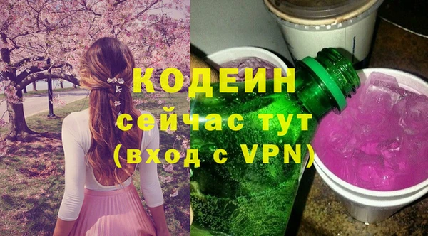 первитин Анива