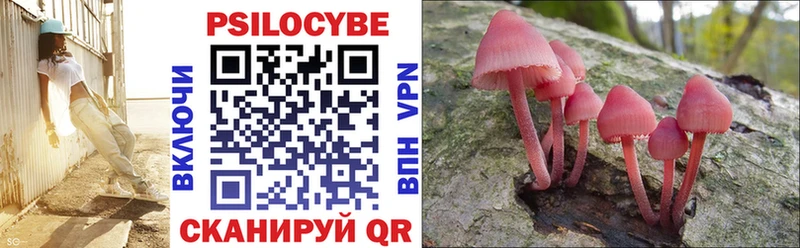 Псилоцибиновые грибы Magic Shrooms  Боровск 